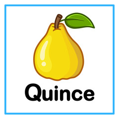 fresh quince alfabet illustration © Rahmatullah