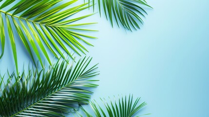 Blue backdrop with palm leaves and empty space