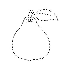 tracing quince illustration