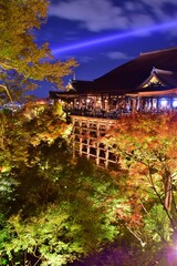 秋の京都 清水寺　紅葉ライトアップ
