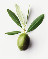 Obraz premium Fresh Green Olive with Leaves on Branch