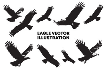 Eagle bird flying silhouette illustration