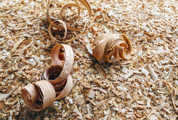 Wood shavings against the background of other shavings and sawdust, Top view above