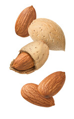 Whole and shelled  almond nuts falling isolated on white background. Vertical layout
