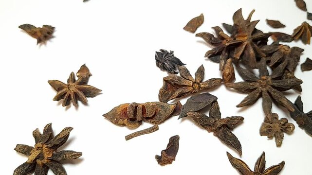 Dried star anise flower falling on isolated white background, food cooking seasoning video concept.