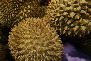 fresh durian for selling design for fresh fruits background