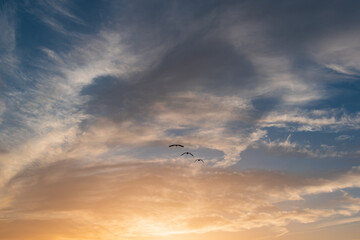 夕空
