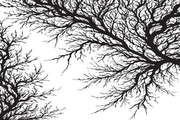 Luxury Black Traced Texture on White Background - Monochrome Vector Illustration Overlay