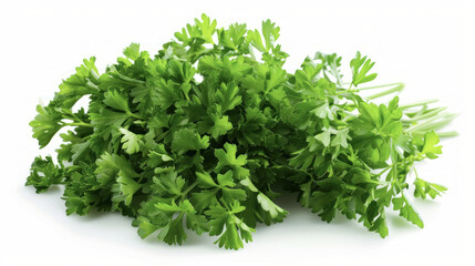Obraz premium Fresh Parsley Leaves on White Background