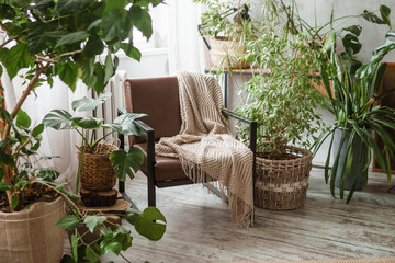 A fragment of the interior with a variety of indoor plants and plaster sculptures. Urban jungle...