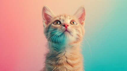 Fototapeta premium Regal Pixie-Bob Cat on Vintage Color Palette Background with Copy Space; Majestic Feline Pet in Retro Setting for Design Projects, Generative Ai