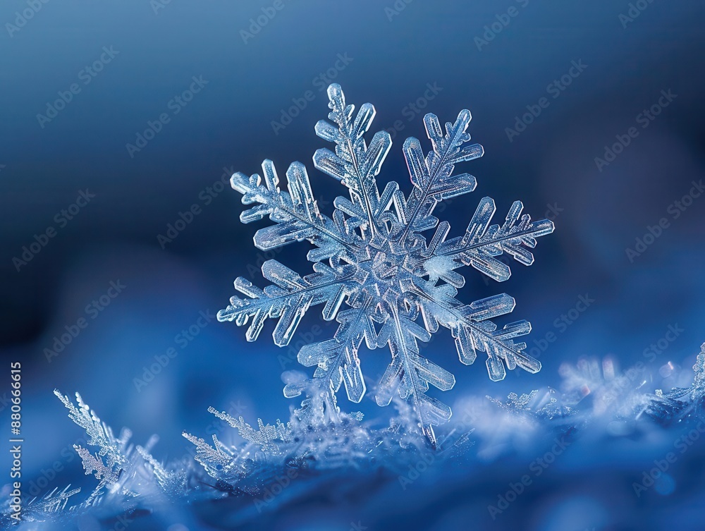 Poster macro photograph of intricate snowflake crystal fractal patterns emerging from icy core set against deep blue twilight sky