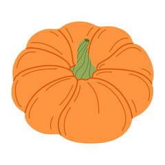 Ripe orange pumpkin. Hand drawn trendy flat style isolated on transparent background. Organic food, Autumn Harvest, Thanksgiving, halloween concept. Healthy vegetarian menu. Vector illustration