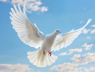 Fototapeta premium majestic white dove in midflight against azure sky wings outstretched feathers catching sunlight symbol of peace and freedom captured in crisp highspeed photography