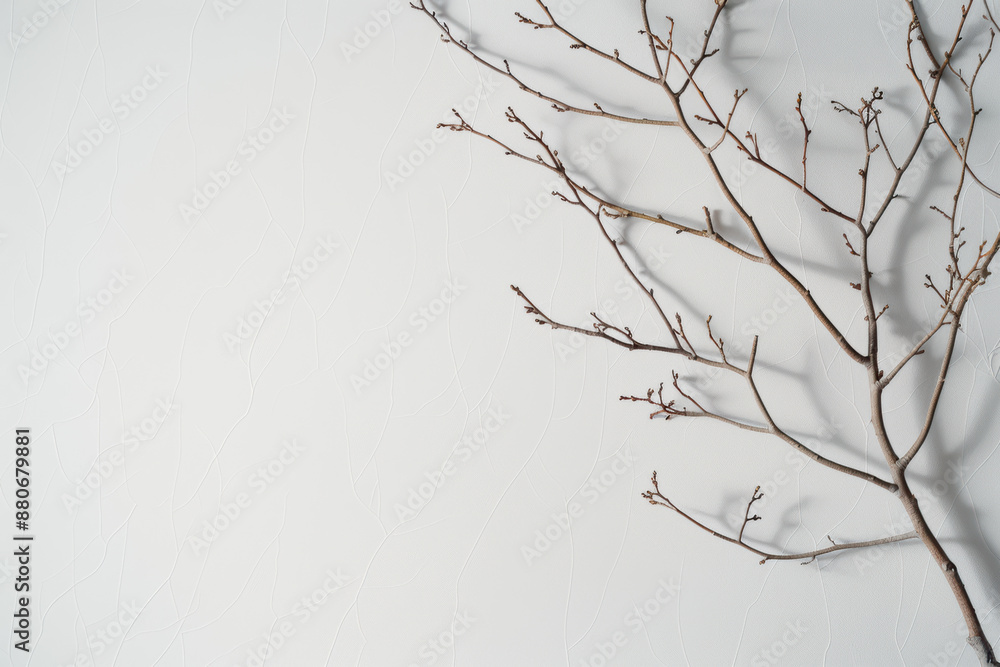 Poster minimalist of a barren tree branch against a white textured wall. perfect for various creative proje