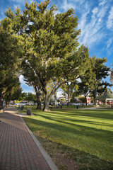 Visiting downtown Paso Robles, California, on a summer day.