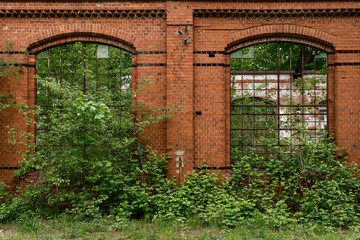 Büsche und Sträucher überwuchern eine verfallene Industrieanlage am Hafen von Swindemünde