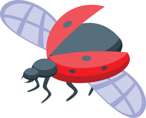 Red ladybug is opening its wings, revealing the delicate membrane underneath, ready to take flight