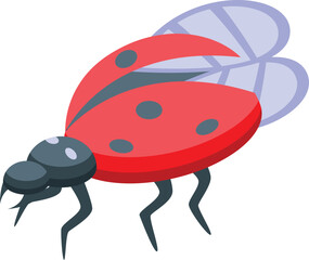 Red ladybug is opening its wings, getting ready to take flight