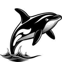 A jumping and elegant orca in the ocean 2 Vector Design and illustration
