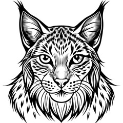 elegant lynx with tufted ears 2 Vector Design and illustration