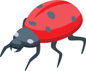 Red ladybug is walking on six legs with black spots on its back
