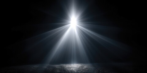 Spotlight in the Darkness