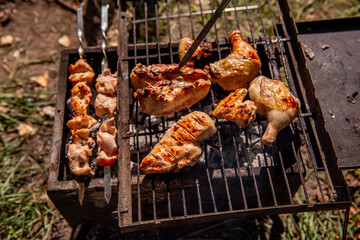 Top view of assorted chicken pieces and skewers grilling on a portable BBQ in a grassy field, showcasing a delicious outdoor meal.
