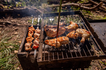 Assorted grilled chicken pieces on a barbecue grill outdoors, including skewers, chicken breasts, and drumsticks, creating a flavorful and rustic outdoor cooking scene.