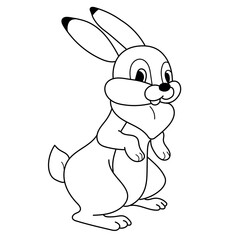 Hare coloring book for children