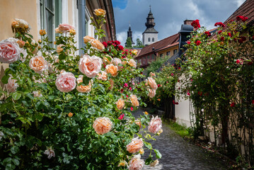Narrow street in the historical old town in Visby, Sweden