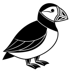 minimalist puffin with clean shapes Vector Design and illustration