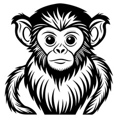 simple line art of a capuchin monkey 2 Vector Design and illustration