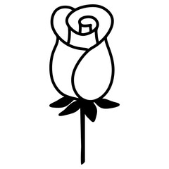 black and white bird