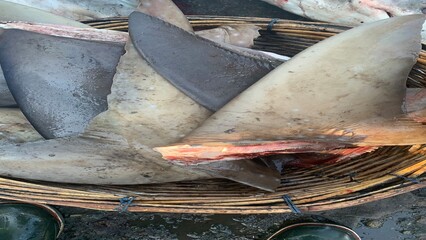 fish on a net market traditional
