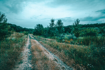 dirt road nea field with tall green grass and different flowers on it, leading to a dark green forest, against the backdrop of a blue sky with stormy gloomy clouds