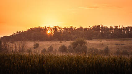 Fototapeta premium bright yellow dawn behind the trees, above the foggy lake