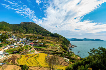 Daraengi Village is beautiful in all four seasons with terraced rice fields in harmony with nature.