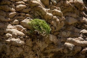 Rocks and types of rocks in Karaftu area of ​​Kurdistan province of Iran