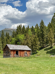 Abandoned cabin, an old wooden house in the mountains. Pine trees in a forest landscape