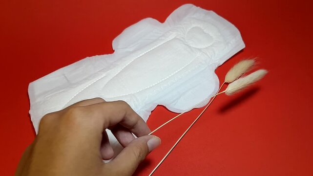 Sanitary napkin and weeds. A concept that shows softness for the feminine area, is able to accommodate large amounts of blood and still keeps the feminine area dry, isolated on red background.