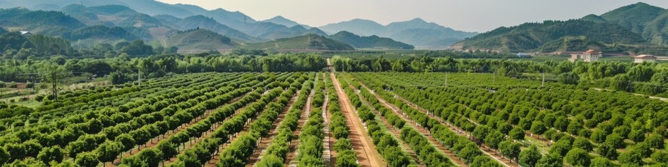 Panoramic View of Advanced Vertical Farming: High-Efficiency, High-Yield Precision Agriculture with High-Cost Investment, Showcasing Cutting-Edge Technology in Seeding, Irrigation, and Future Smart Ag