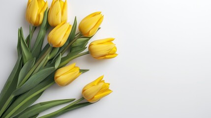 Yellow tulip bouquet on white backdrop for Valentine s and Mother s Day with blank space for designs Celebration theme image suitable for desktop and wallpaper