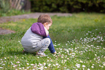 Kleinkind zwischen Gänseblümchen