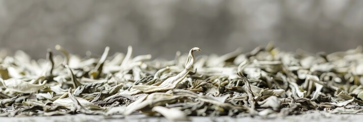 White Tea Leaves. Loose Leaves of White Tea on Natural Grey Background