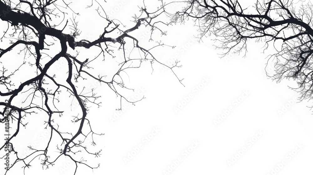 Poster tree branches with space for text