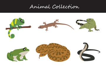 Animals collection. Flat style vector illustration.