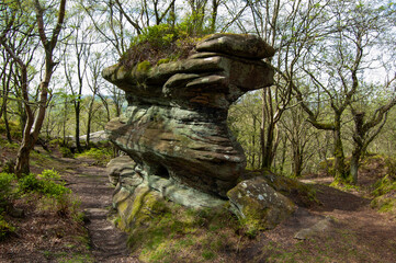 Brimham Rocks, once known as Brimham Crags, is a 183.9-hectare (454-acre) biological Site of Special Scientific Interest (SSSI) and Geological Conservation 
