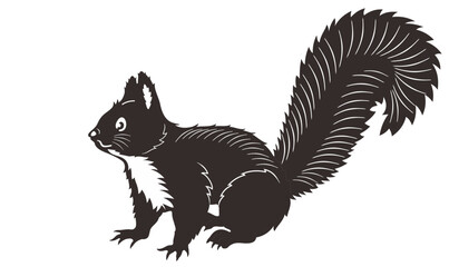 Squirrel black silhouette vector illustration
