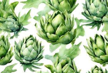 white olated drawn artichoke eco useful drawing green background farm artwork friendly art illustration diet fresh watercolor